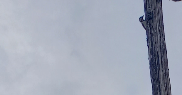 魔法の言葉ありがとう！