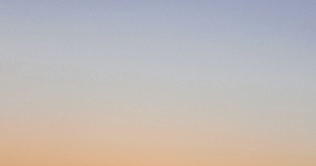 溢れる好奇心！