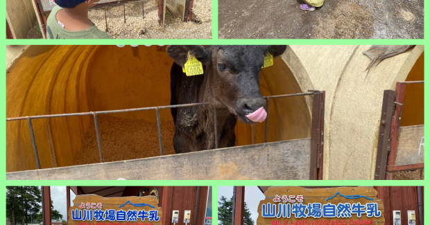 真夏！フルパワー！