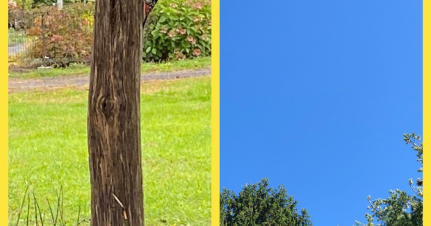 君がいるだけで！