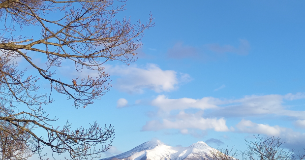 笑顔のループ。