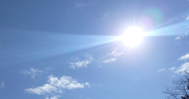 春の訪れと共に。