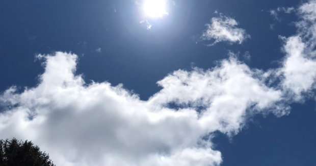 ６月！夏目前！！