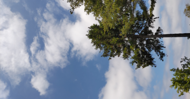 泣いて笑ってゴキゲンサン！サン！