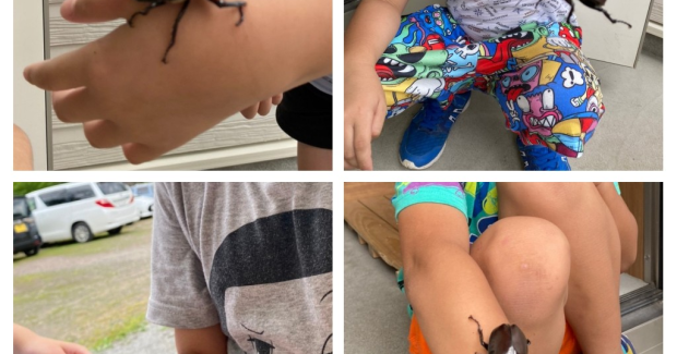 豪雨と夏空の間で。