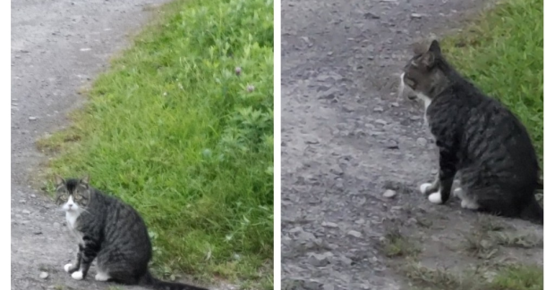 笑顔の向こう側。