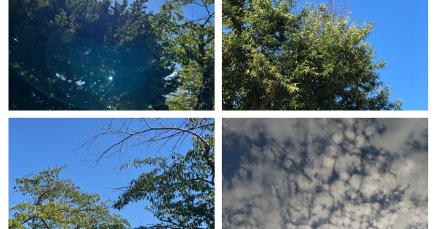 秋風と太陽の下で。