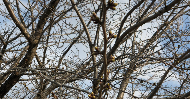 愉快！爽快！3月グッバイ！！