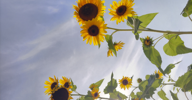 夏の終わりと秋の始まり。