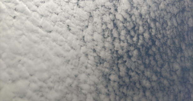 秋の訪れと絵画ウィーク！！