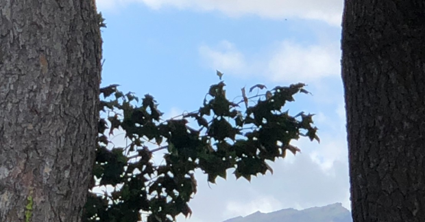 １０月！！〜悔し涙と秋の空〜