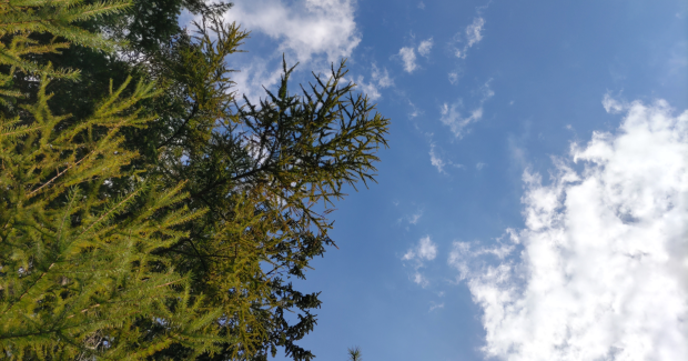 あっぱれ！秋晴れ！