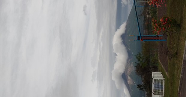 春の終わり。夏の足音。