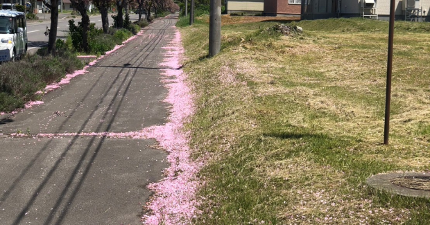 よーい！ドン！！夏がくるよー！！