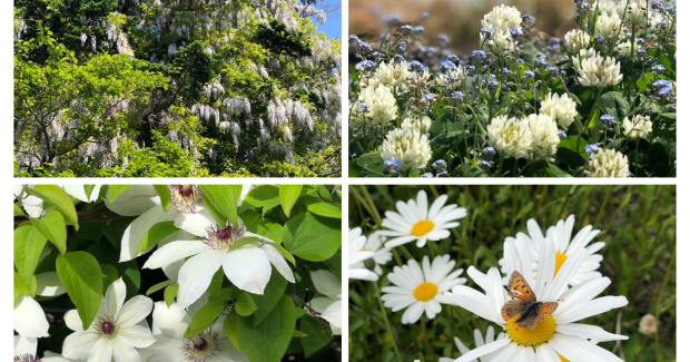 ６月スタート！！