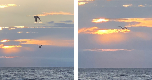 日々レッツ！トライ！＆チャレンジ！！