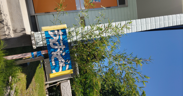 7月！！〜熱気上昇中〜