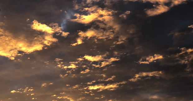 夏休みだぁ！！