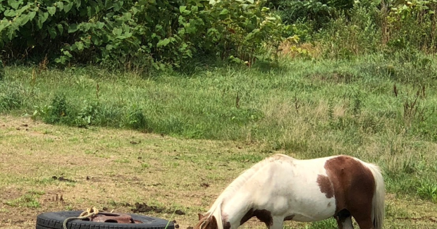 2024年！あおぞら夏祭り2日目！！