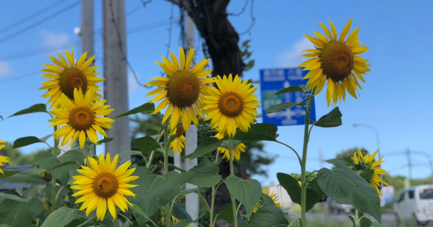 太陽とあおぞらの下。とびっきりの笑顔満開！！