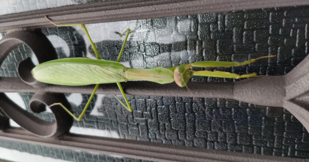 残暑と秋の間で。