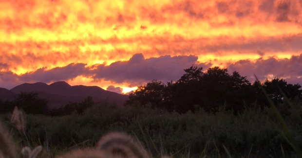 2024年こまがたけ·あおぞら合同作品展＆森町四季の写真展開催のお知らせ。