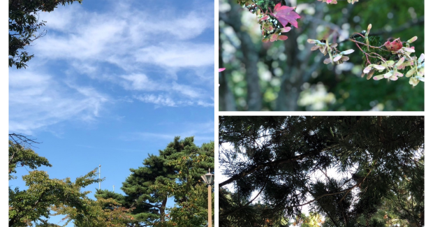 秋麗。〜秋満喫！！〜