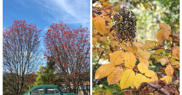 晩秋。〜挑戦する日々〜