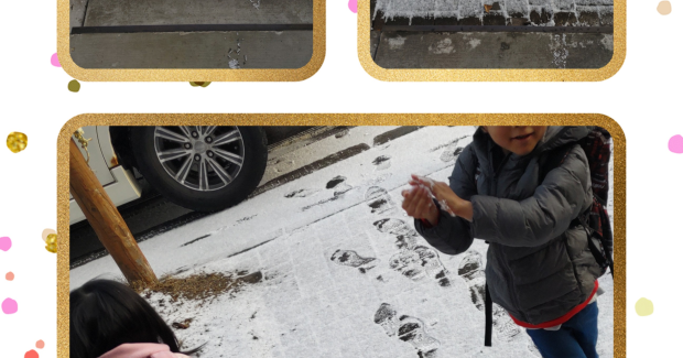 冬が来ましたよ♫