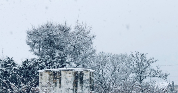 雪わっしょい！！