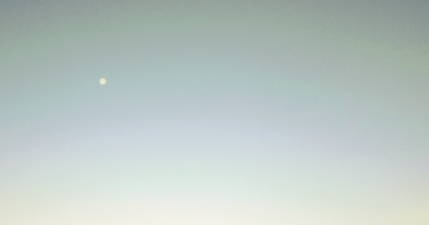 2025年あおぞら開幕！！