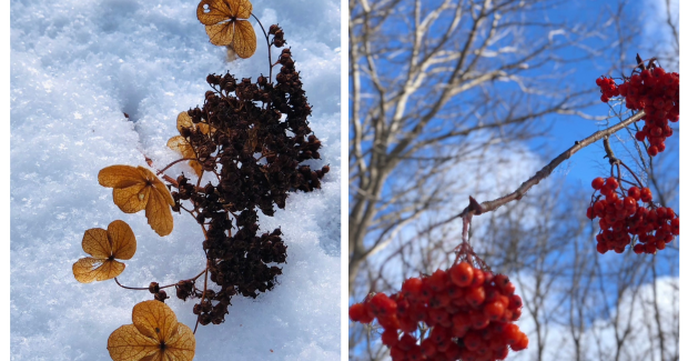 冬休み最終週！3学期スタート！！