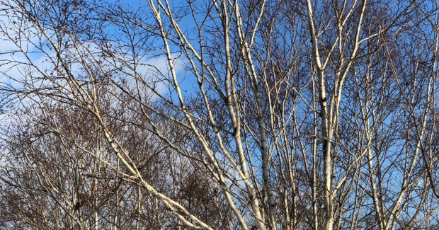 ポカポカ陽気。