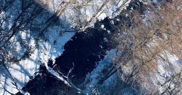 雪解けのはじまりと春の足音。
