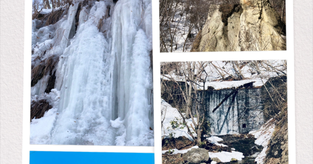 春の気配と冬の駆け込み？？！