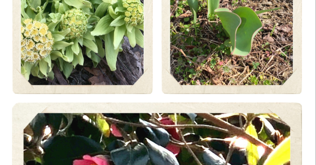 春風。〜初めてがいっぱい！〜