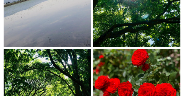 大好きが笑顔の輪を広げるんだ♡