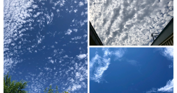 夏だ！祭りだ！！