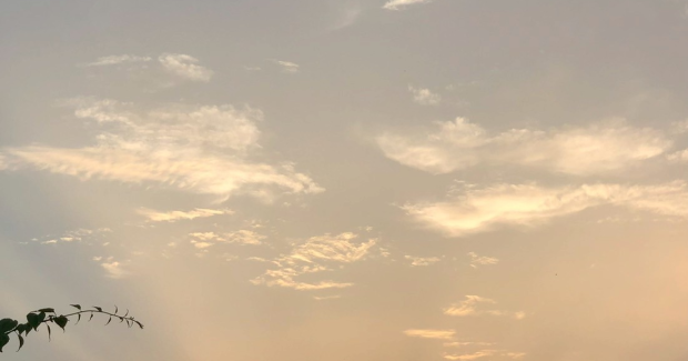 お盆休業日のお知らせ。