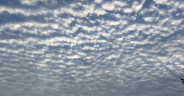 ドンッ！と元気いっぱい！！