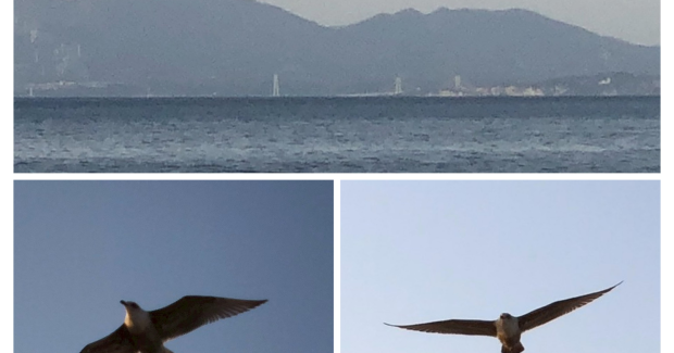 夏の終わりと秋の始まり。