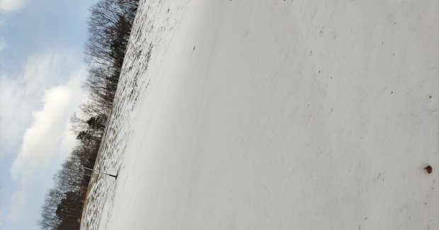 寒さ深まる。１２月終盤。