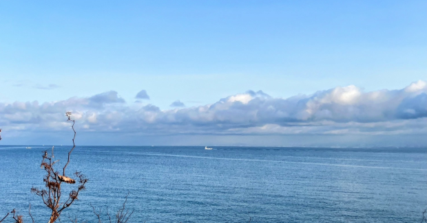 １月よぉ…ありがとう！！