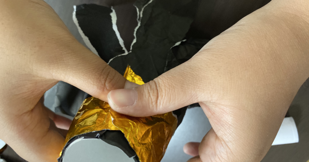 ミノムシさん、こんにちは♬