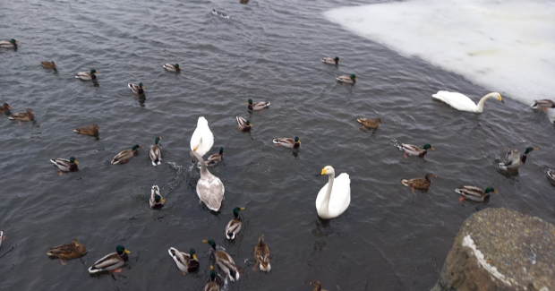今年も楽しい事がたくさん♪